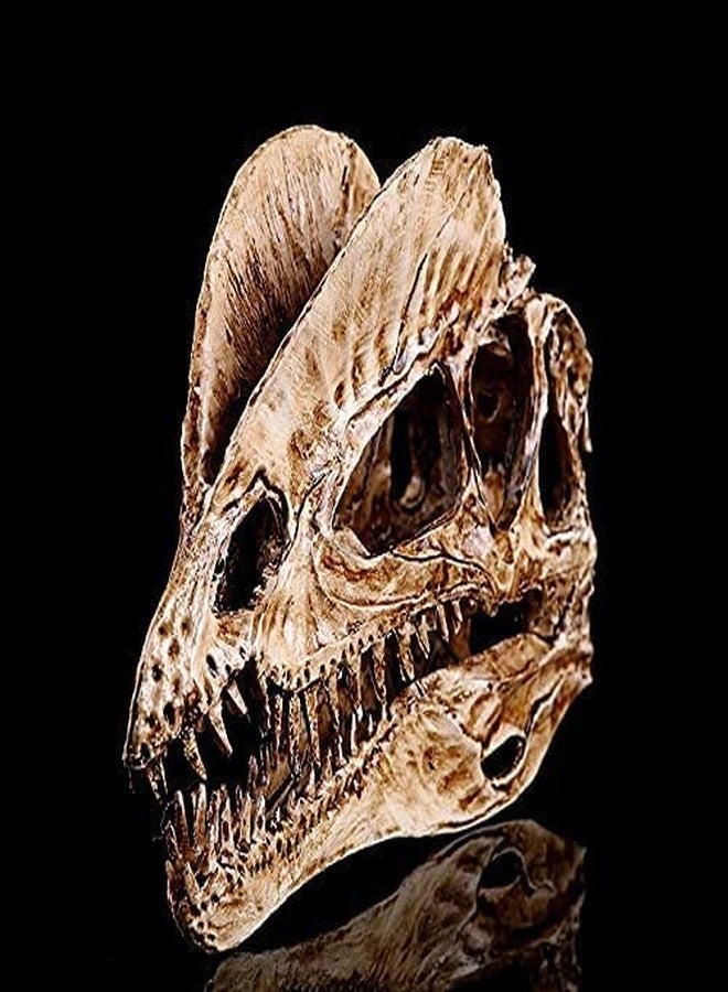 Koolouispoper T-Rex Skull Dinosaur Resin Craft Gifts Home Decor Replica Fish Tank Statue Tyrannosaur Skull Skeleton Aquarium Decoration (A) - Image 5